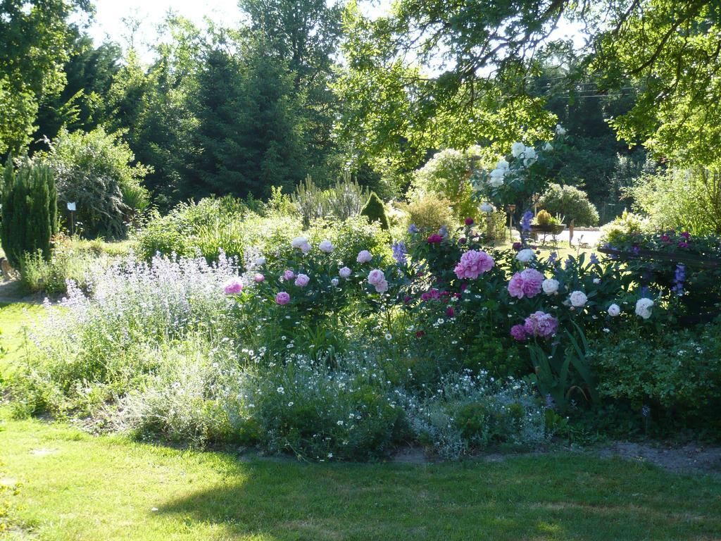 Bed and Breakfast La Petite Ferme Vouzeron Экстерьер фото